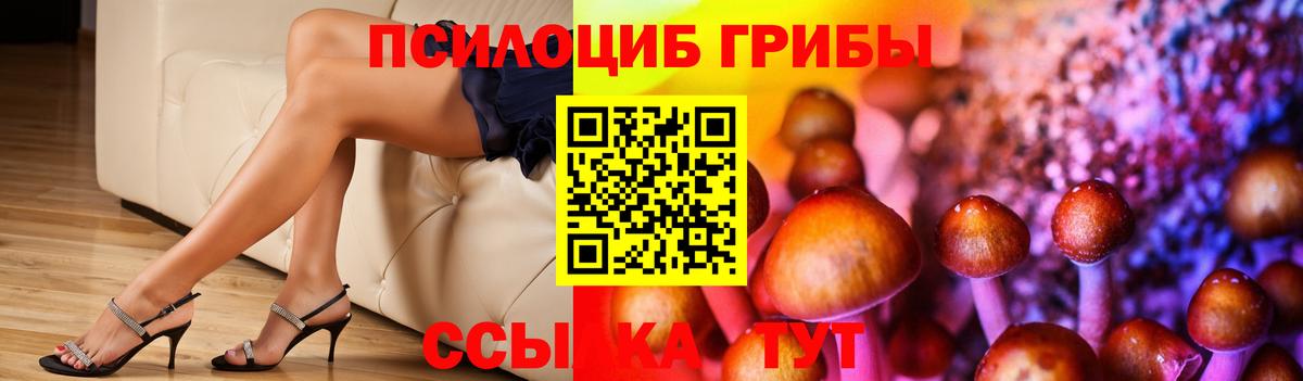 Губкин  Галлюциногенные грибы прущие грибы  Вход с VPN 