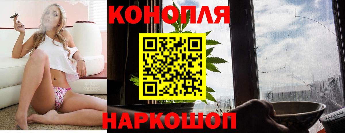 Бошки марихуана ГИДРОПОН Губкин
